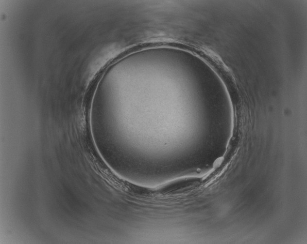 X0000067911167200604131336