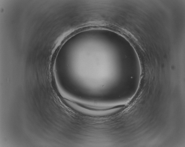 X0000067911168200604131336