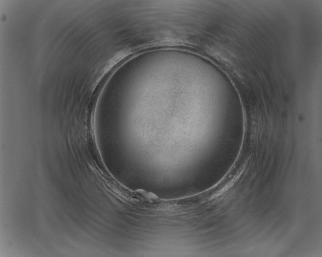 X0000067911170200604131336