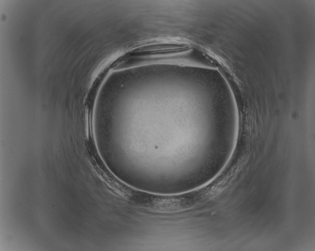 X0000067911171200604131336