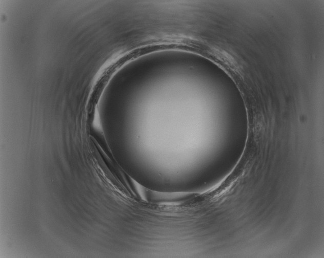 X0000067911172200604131336