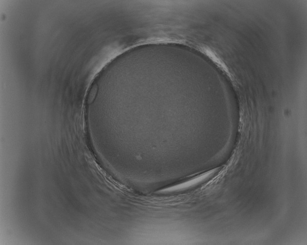 X0000067911173200604131336