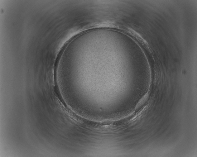 X0000067911174200604131336