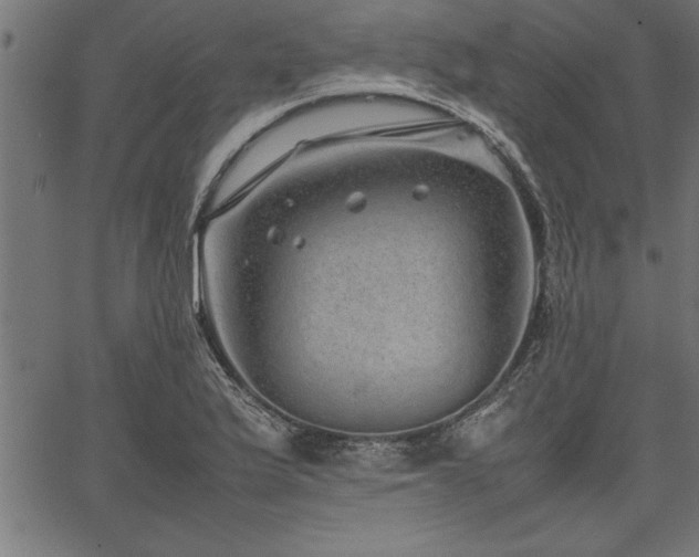 X0000067911175200604131336