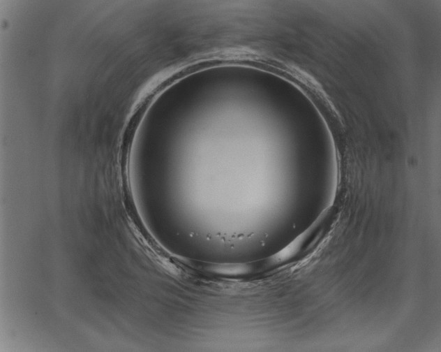 X0000067911176200604131336