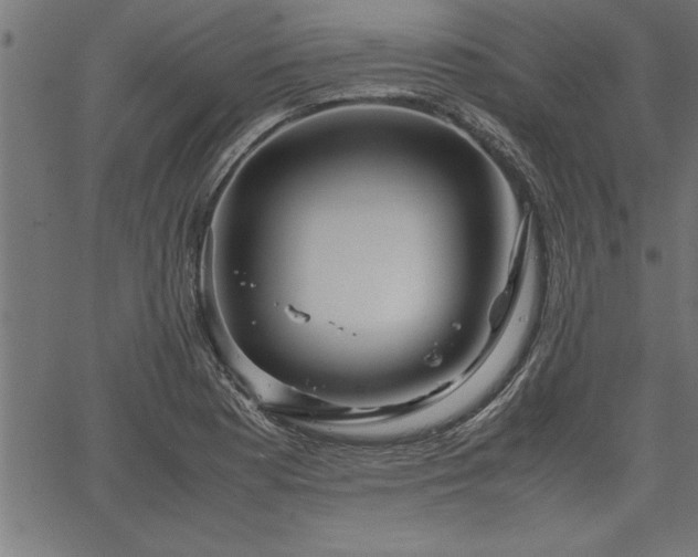 X0000067911177200604131336