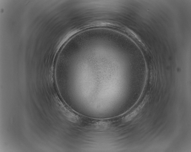 X0000067911178200604131336