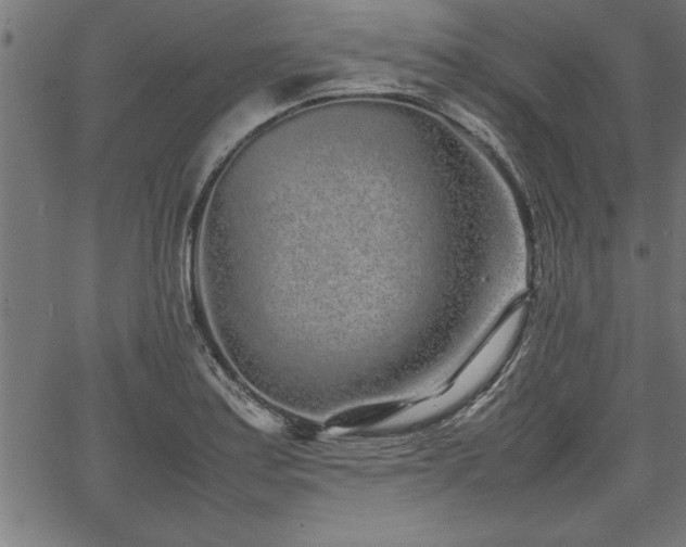 X0000067911179200604131336