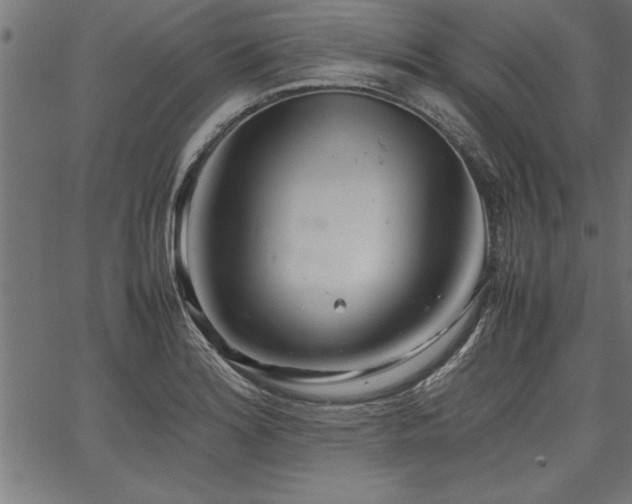 X0000067911180200604131336