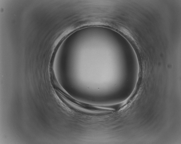 X0000067911181200604131336