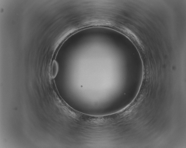 X0000067911182200604131336