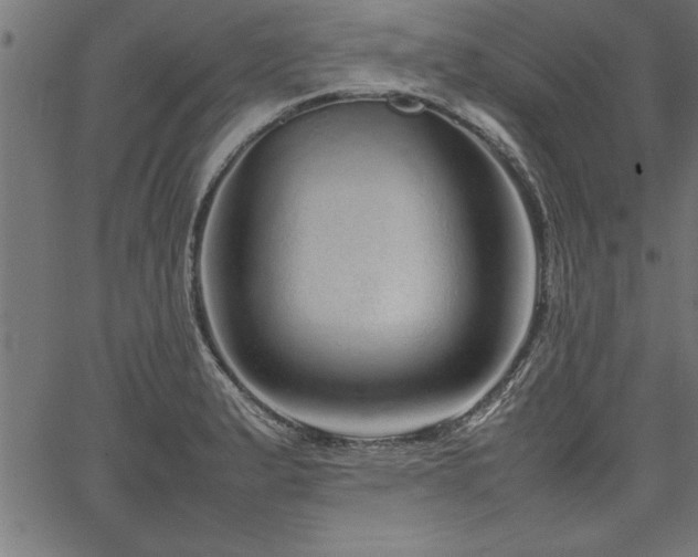 X0000067911183200604131336