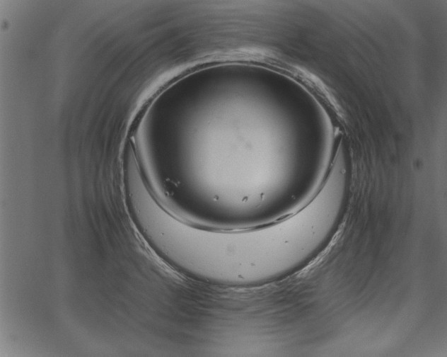 X0000067911184200604131336