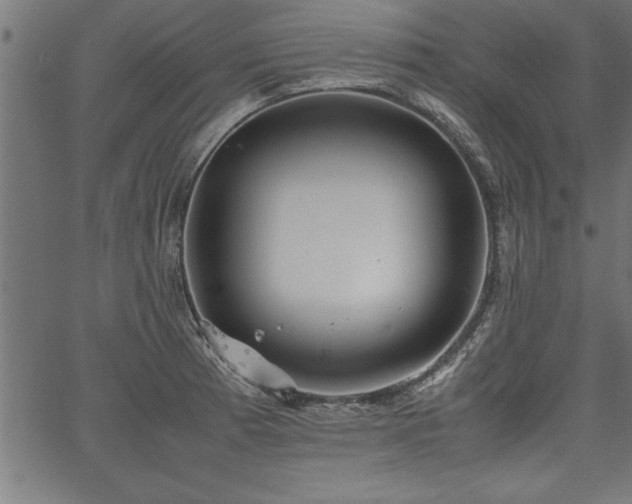 X0000067911185200604131336