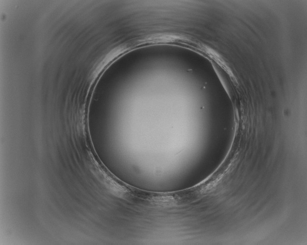 X0000067911186200604131336