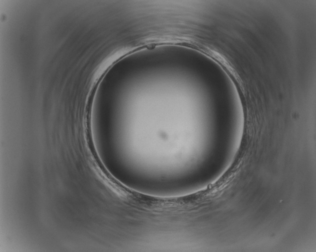 X0000067911187200604131336