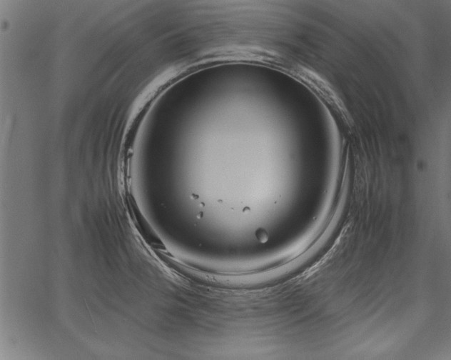 X0000067911188200604131336