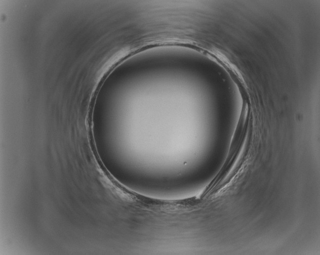 X0000067911189200604131336