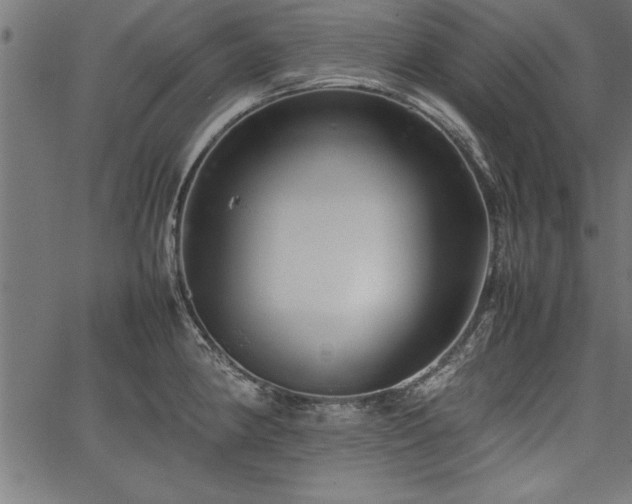 X0000067911190200604131336