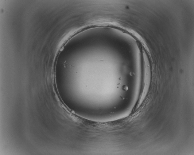 X0000067911191200604131336