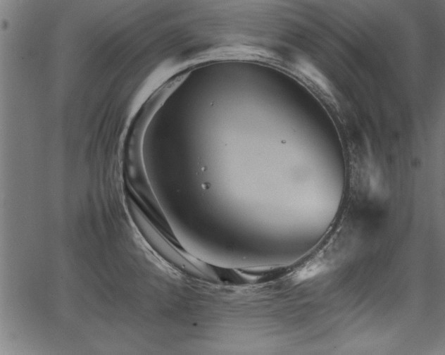 X0000067911192200604131336