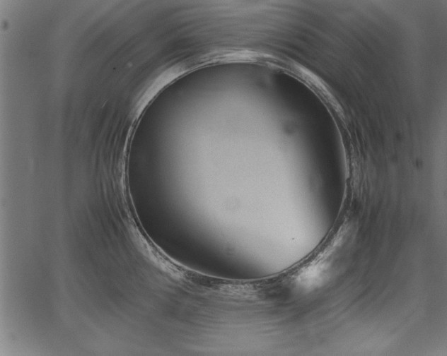 X0000067911194200604131335