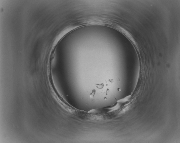 X0000067911195200604131335