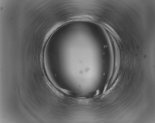 X0000067911196200604131335