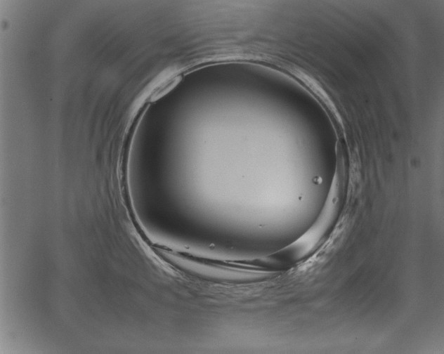 X0000067911197200604131335