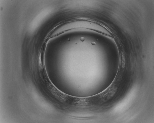 X0000067911198200604131335