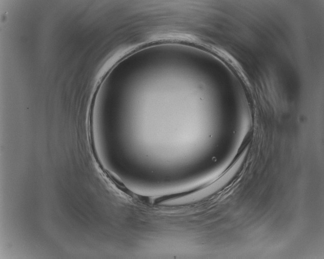 X0000067911199200604131335