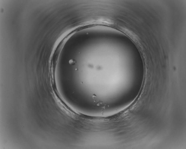 X0000067911200200604131335