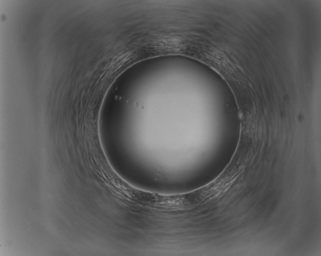 X0000067911201200604131335