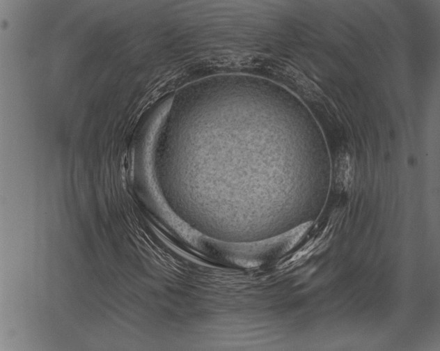 X0000067911202200604131335