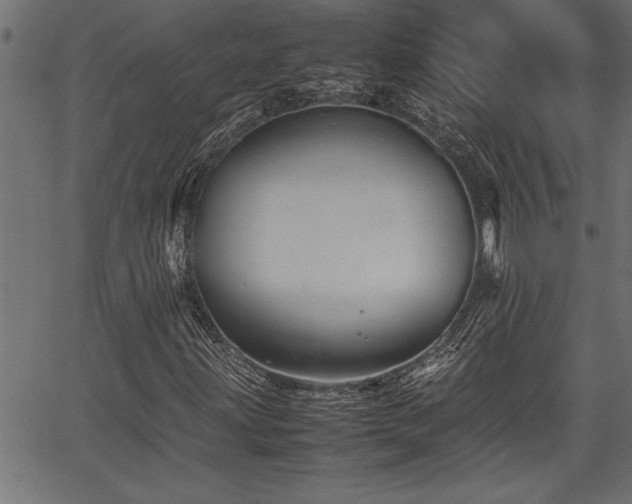 X0000067911203200604131335