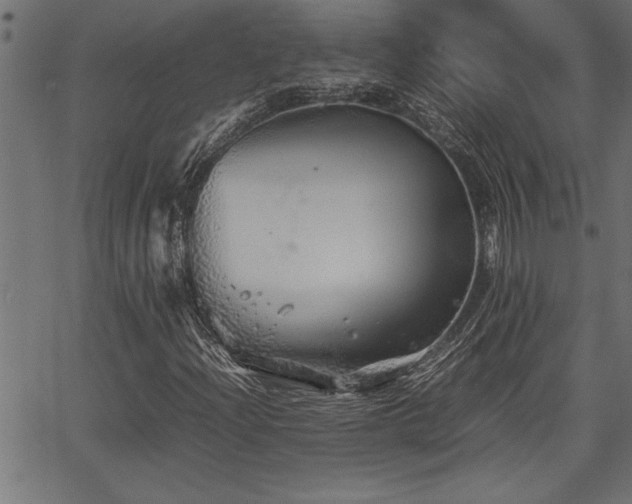 X0000067911204200604131335