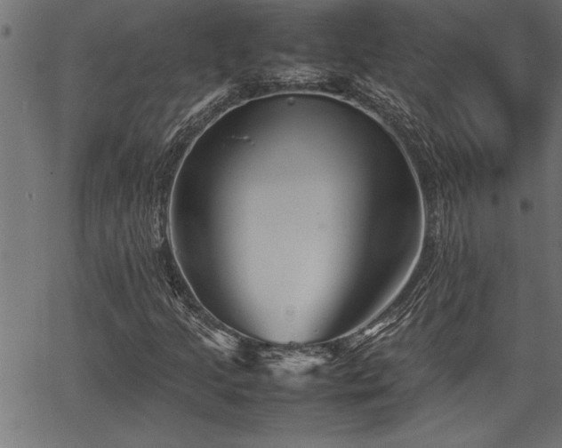 X0000067911205200604131335