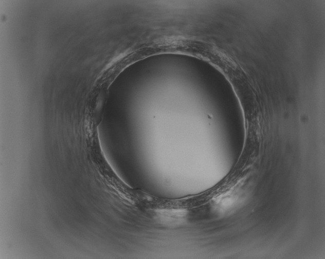 X0000067911206200604131335