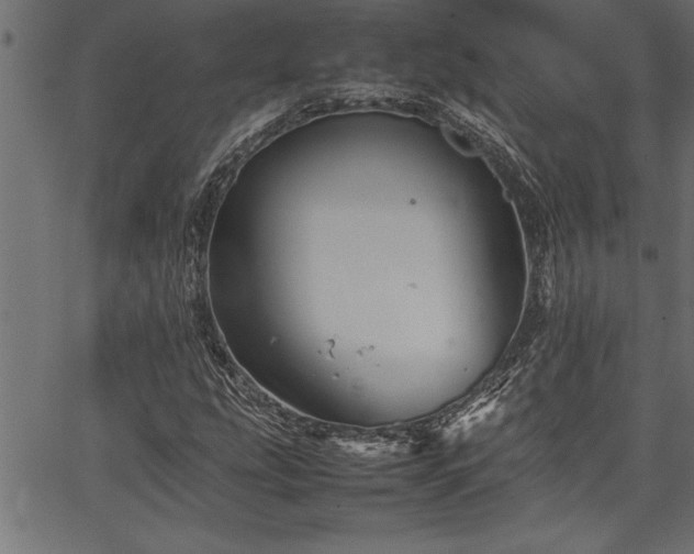 X0000067911207200604131335