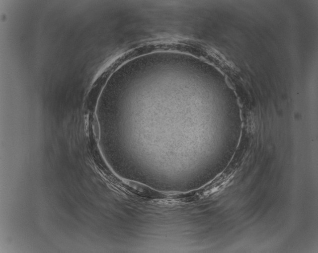 X0000067911208200604131335