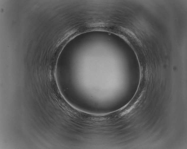 X0000067911209200604131335