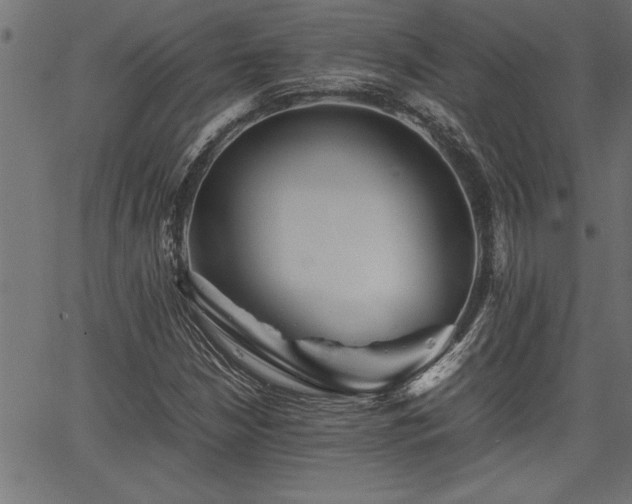 X0000067911210200604131335