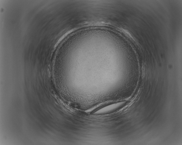 X0000067911212200604131335