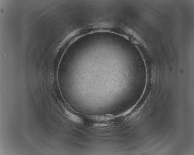 X0000067911213200604131335