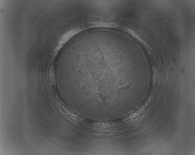 X0000067911215200604131335