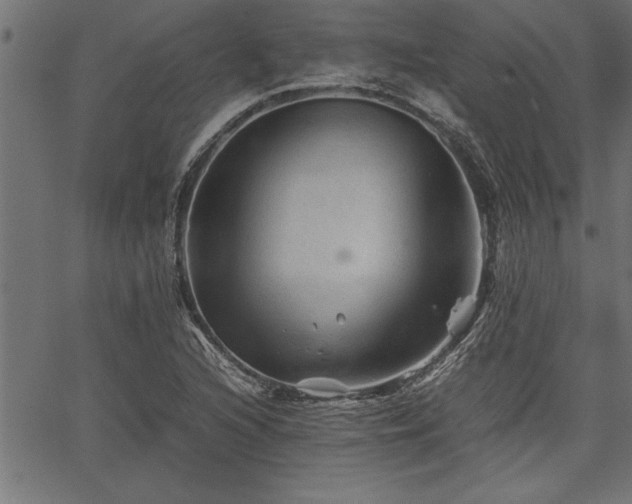 X0000067911216200604131335