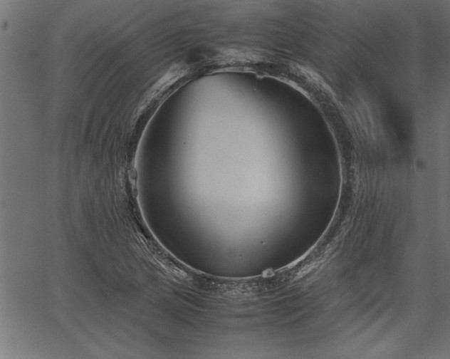 X0000067911217200604131335