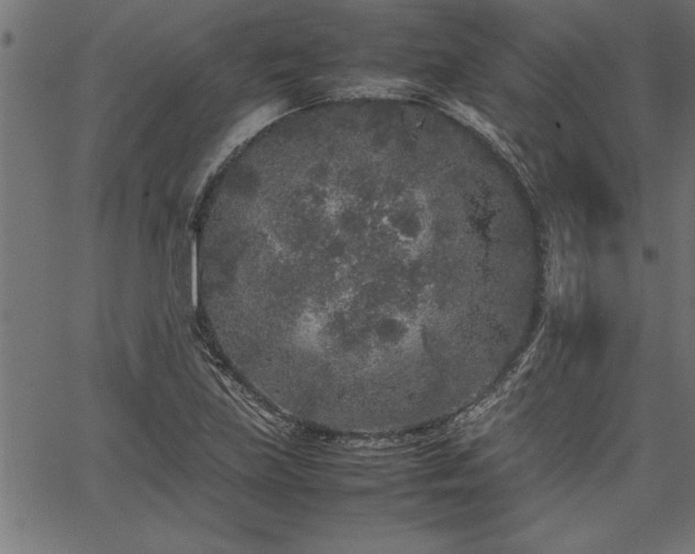 X0000067911219200604131335