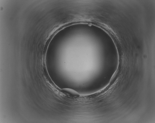 X0000067911220200604131335