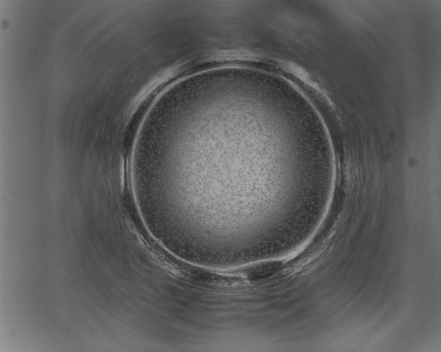 X0000067911221200604131335